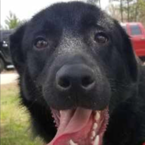 Meet your Posher, Christy - Picture 1 of 1